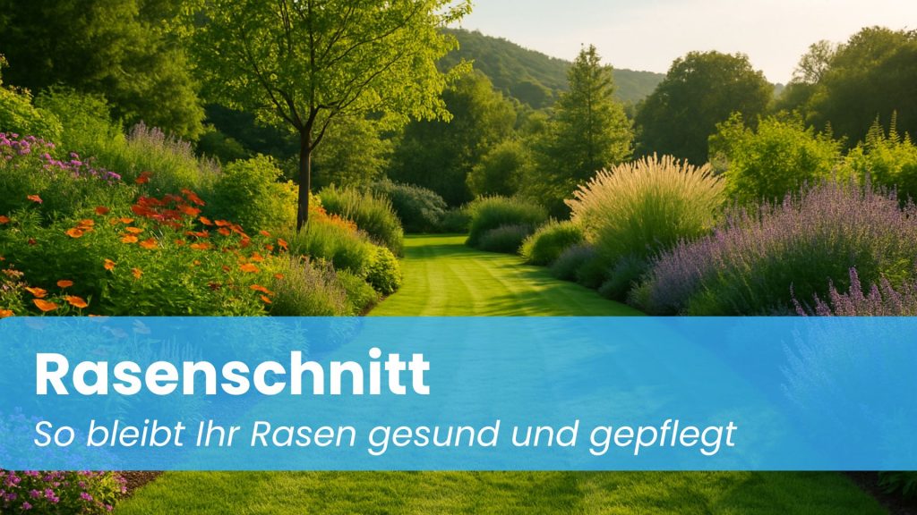 Bild zum Blogbeitrag Rasenschnitt von Richter Gebäudemanagement. Man sieht einen schönen gepflegten Rasen der frisch gemäht wurde.